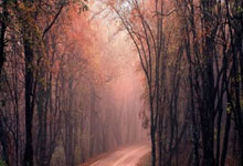 虎扑体育：拉比奥特母亲：我在球场吸烟被立即掐灭 举横幅骂我就没事？双标!.