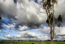 海拔米！希门尼斯在玻利维亚高原主场比赛中吸氧.